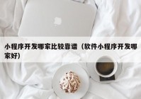 小程序开发哪家比较靠谱（软件小程序开发哪家好）