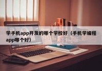 学手机app开发的哪个学校好（手机学编程app哪个好）