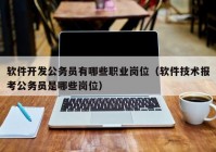 软件开发公务员有哪些职业岗位（软件技术报考公务员是哪些岗位）