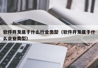 软件开发属于什么行业类型（软件开发属于什么企业类型）