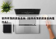 软件开发的资金去向（软件开发的资金去向是什么）