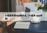 小程序开发app叫什么（小程序 app开发）