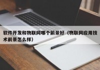 软件开发和物联网哪个前景好（物联网应用技术前景怎么样）