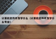 计算机软件开发学什么（计算机软件开发学什么专业）