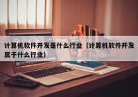 计算机软件开发是什么行业（计算机软件开发属于什么行业）