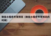 微信小程序开发预览（微信小程序开发预览的时候）