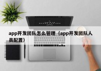 app开发团队怎么管理（app开发团队人员配置）