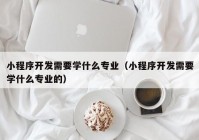 小程序开发需要学什么专业（小程序开发需要学什么专业的）