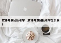 软件开发团队名字（软件开发团队名字怎么取）