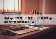 混合app开发是什么意思（什么是原生app开发什么是混合app开发）