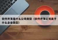 软件开发是什么公司类型（软件开发公司属于什么企业类型）