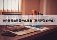 软件开发公司是什么行业（软件开发的行业）