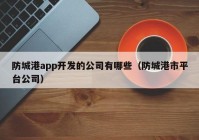 防城港app开发的公司有哪些（防城港市平台公司）