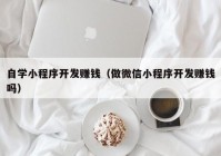 自学小程序开发赚钱（做微信小程序开发赚钱吗）