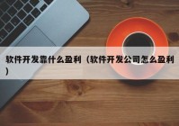 软件开发靠什么盈利（软件开发公司怎么盈利）