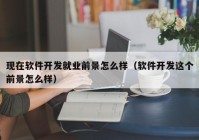 现在软件开发就业前景怎么样（软件开发这个前景怎么样）