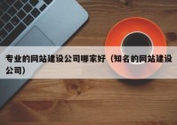 专业的网站建设公司哪家好（知名的网站建设公司）