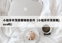 小程序开发需要哪些条件（小程序开发需要java吗）